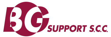 BG Support